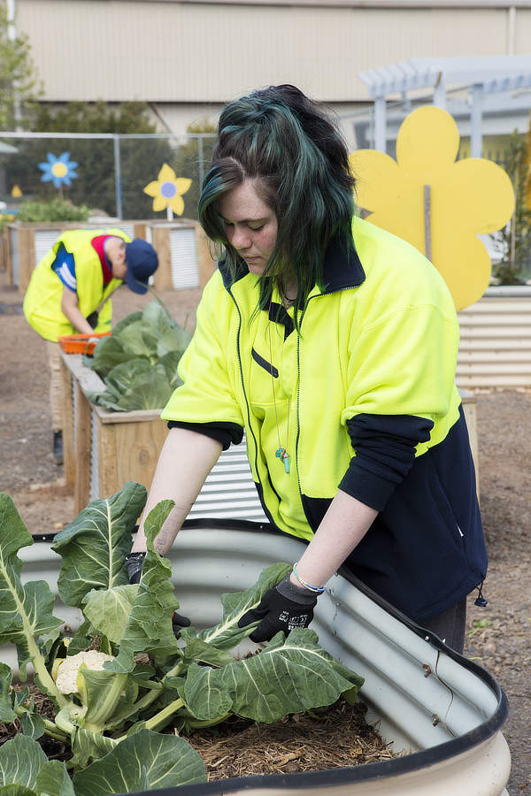 horticulture-vcal-program-melton-specialist-school